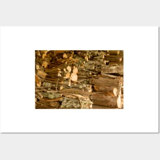 blb firewood Posters and Art